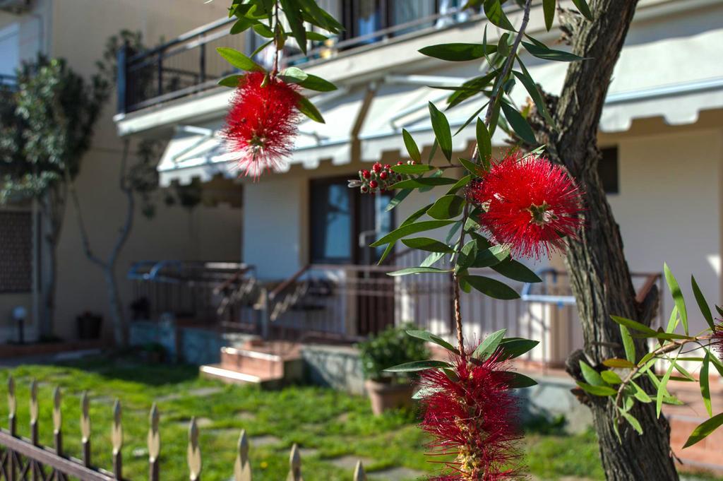 Apartment Dimitra House